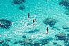 Transparent SUP 10'5''